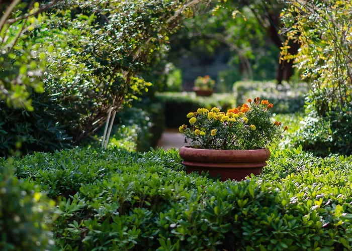 Ξενοδοχείο διόνυσος Ιξιά