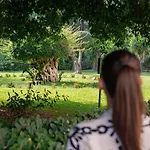 ディオニュソス 4*