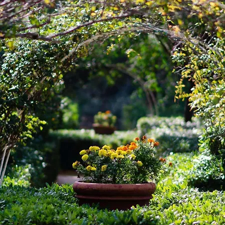 酒店 迪俄尼索斯酒店