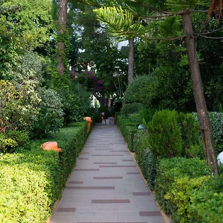 迪俄尼索斯酒店 酒店