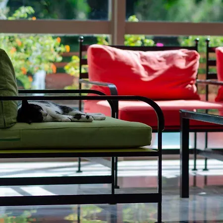 酒店 迪俄尼索斯酒店 4*