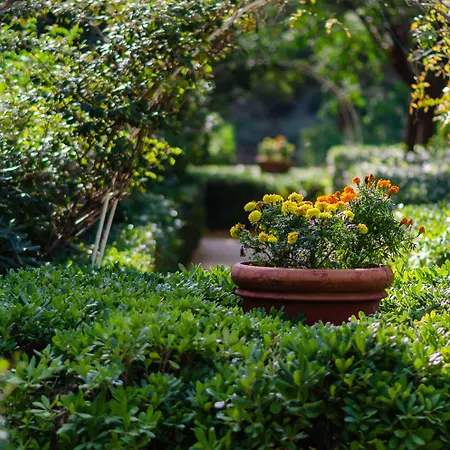 酒店 迪俄尼索斯酒店 依克希亚