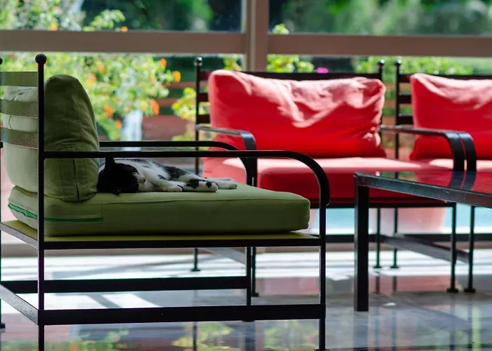 فندق ديونيسوس 4*